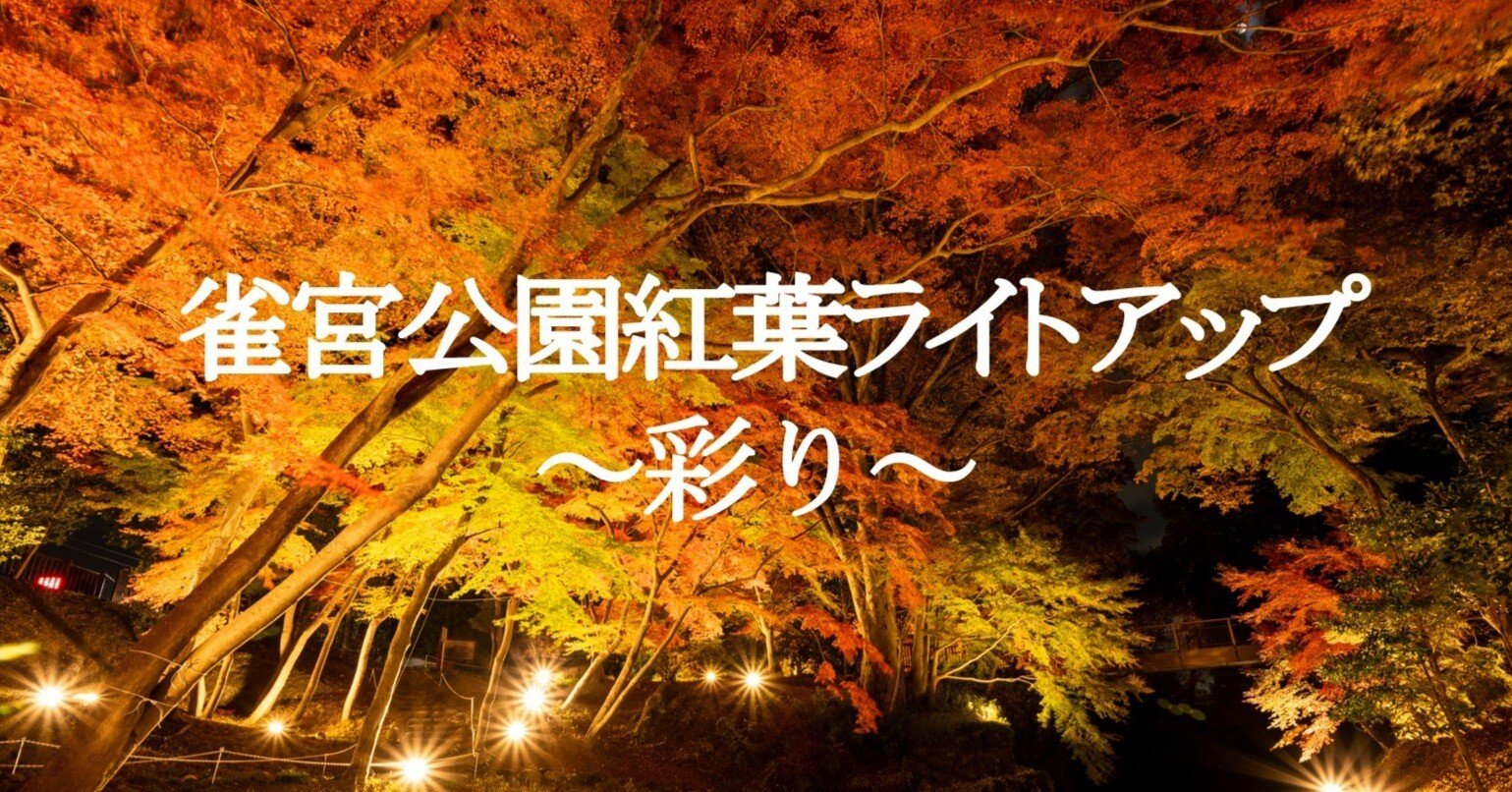 2025 雀宮公園紅葉ライトアップ〜彩り〜｜寄居まちづくりNOTE