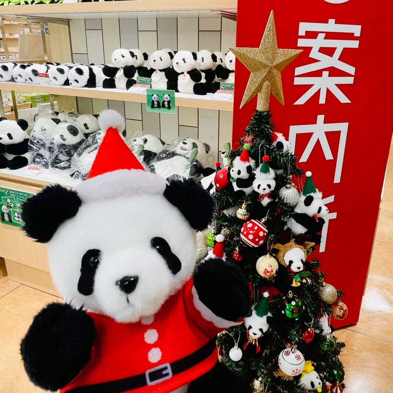 クリスマスハッシュタグキャンペーン！(11/26～12/25)｜上野案内所
