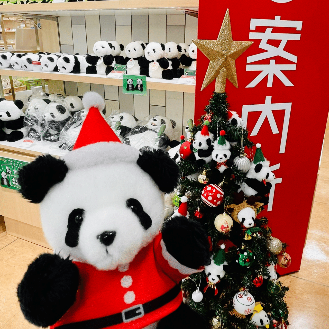 クリスマスハッシュタグキャンペーン！(11/26～12/25)｜上野案内所