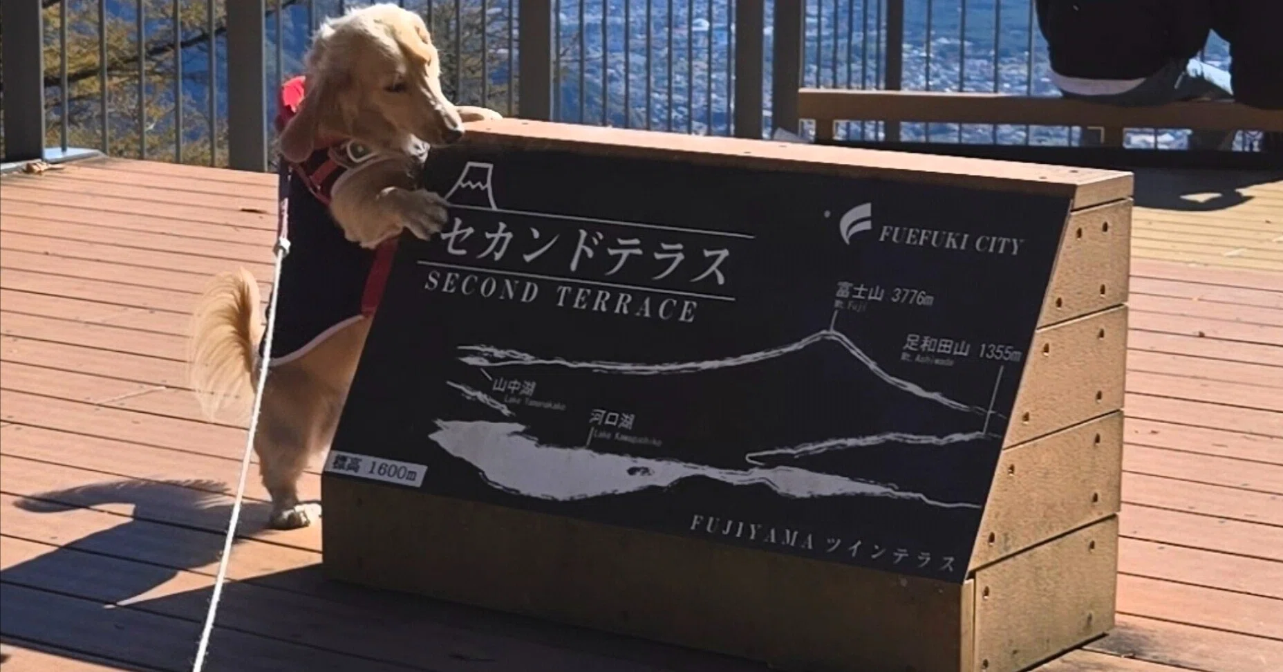 山側二点 rectangle_large_type_2_503e329
