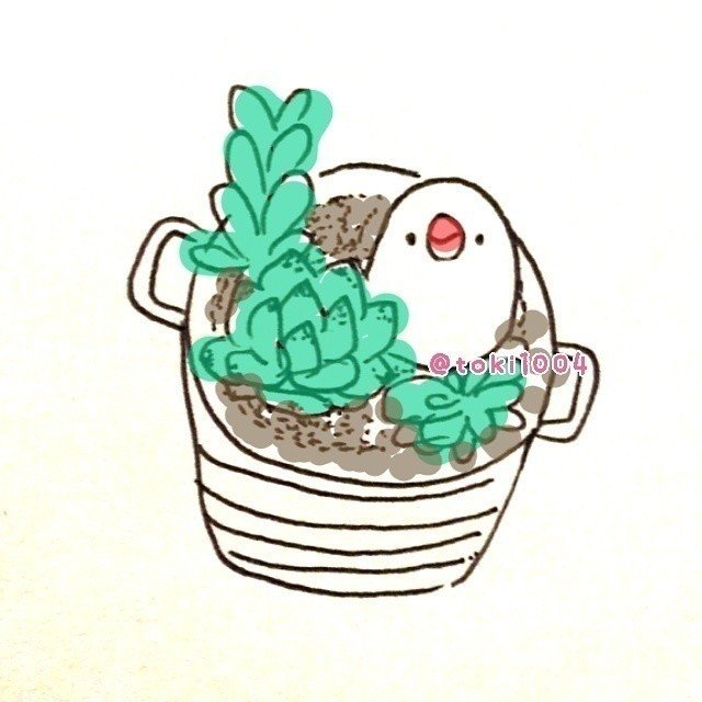 多肉植物 に文鳥を 寄せ植え 絵 イラスト イラストレーター お絵描き ドローイング 一発描き ボールペン 文鳥 Bird イラストレーターとき Note