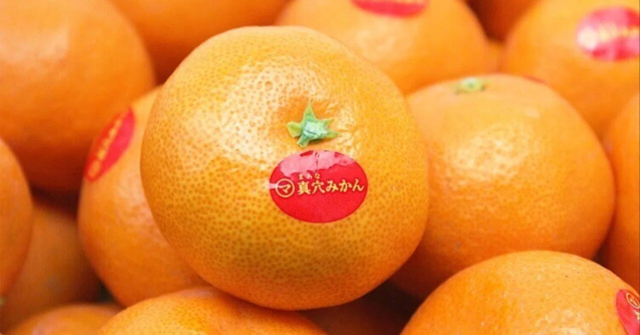 真穴みかん】――“みかんの最高峰”と言われる理由とは？｜808青果店