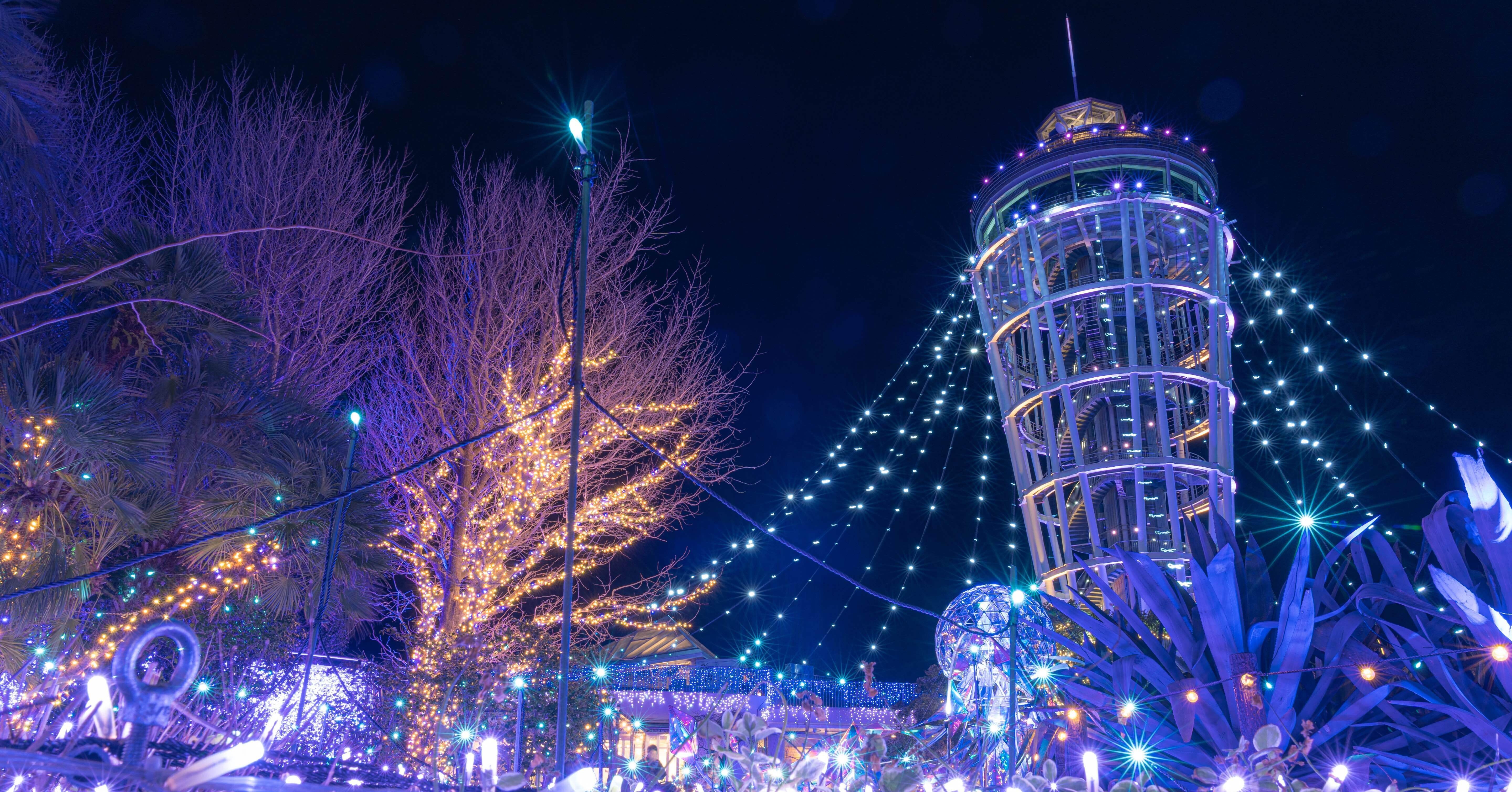 Sony α7Ⅲで撮る、冬の江ノ島。｜minato