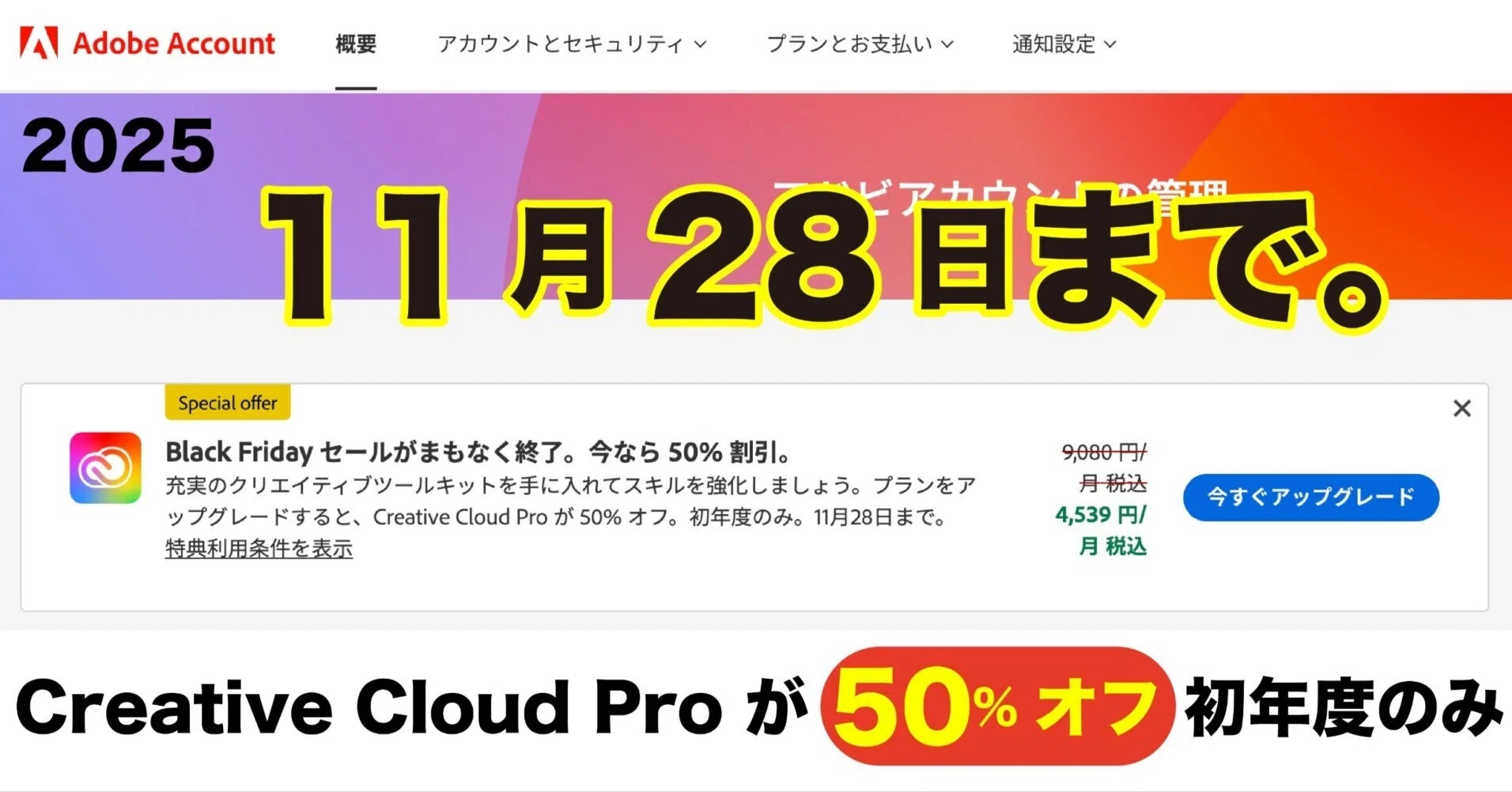必見！】Adobe CC Proが半額？Black Fridayセールの賢い活用法と1年後