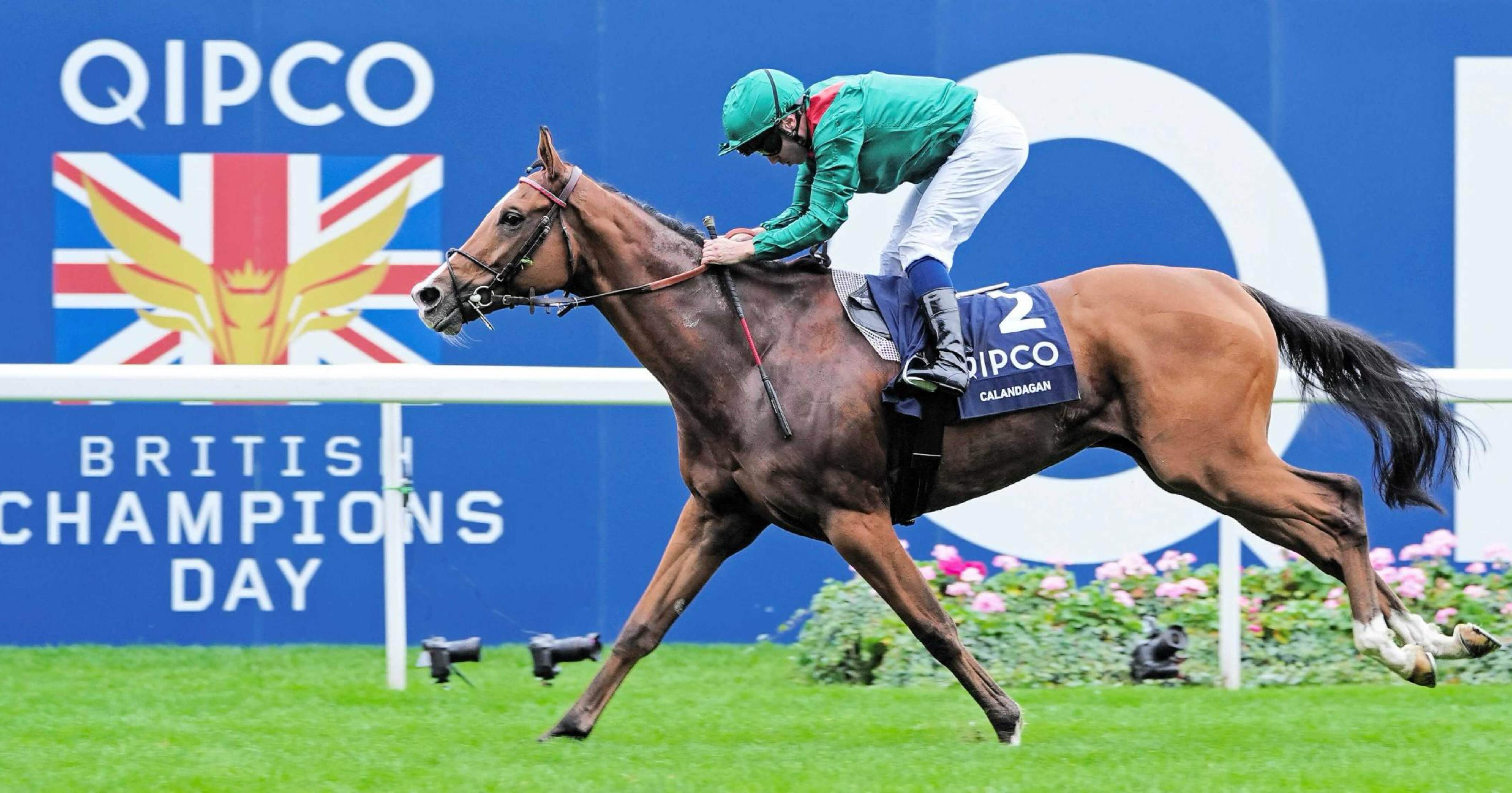 カランダガンは強いのか？｜玄人～アナリョク～