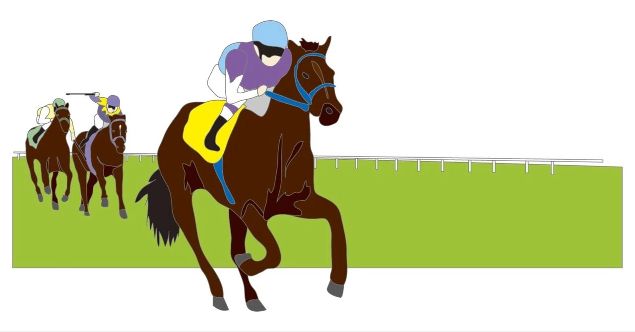 【Earning Money Through Horse Racing】What is the Difference Between ...