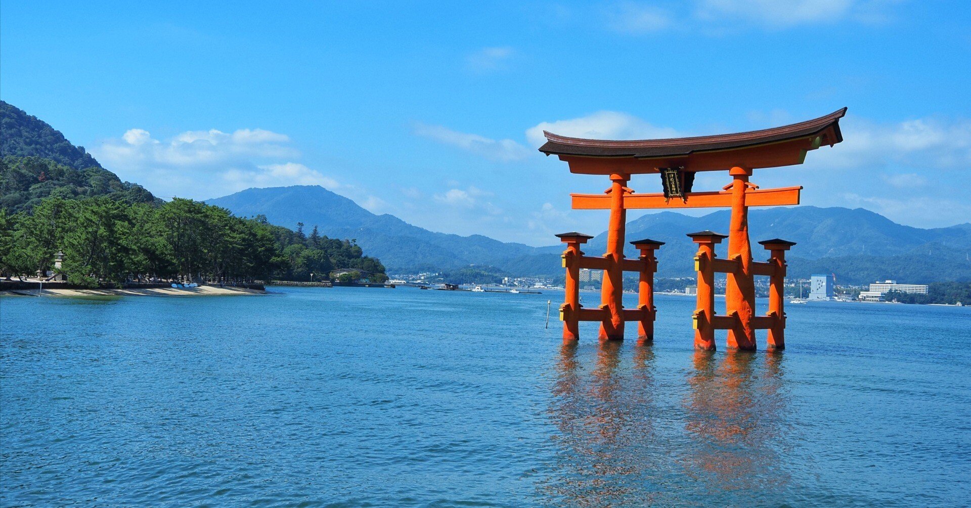 8a2444ac00a8f141f357a76bb19df7