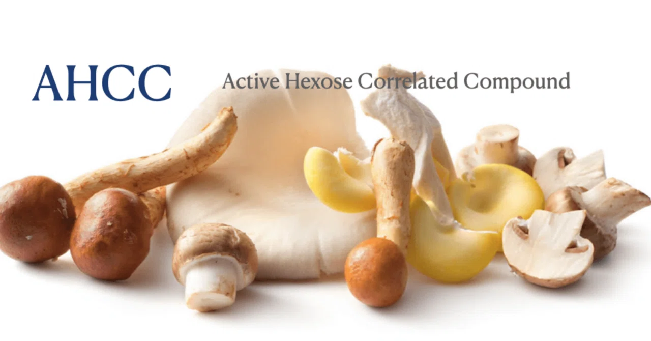 最新｜免疫を支えて健康を守る―いま注目の成分「AHCC」とは？