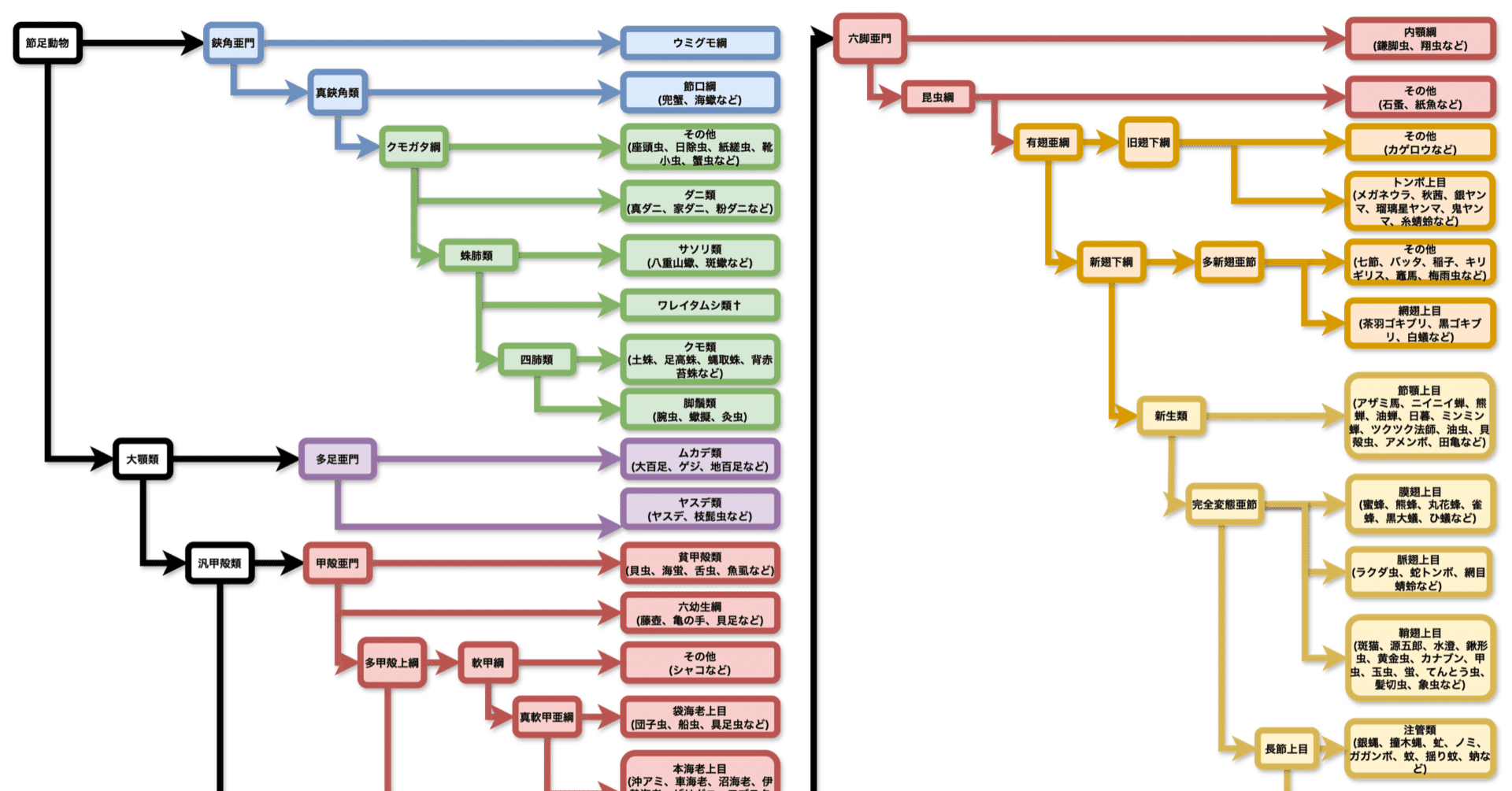 節足動物の系統樹｜春賀蓮之介