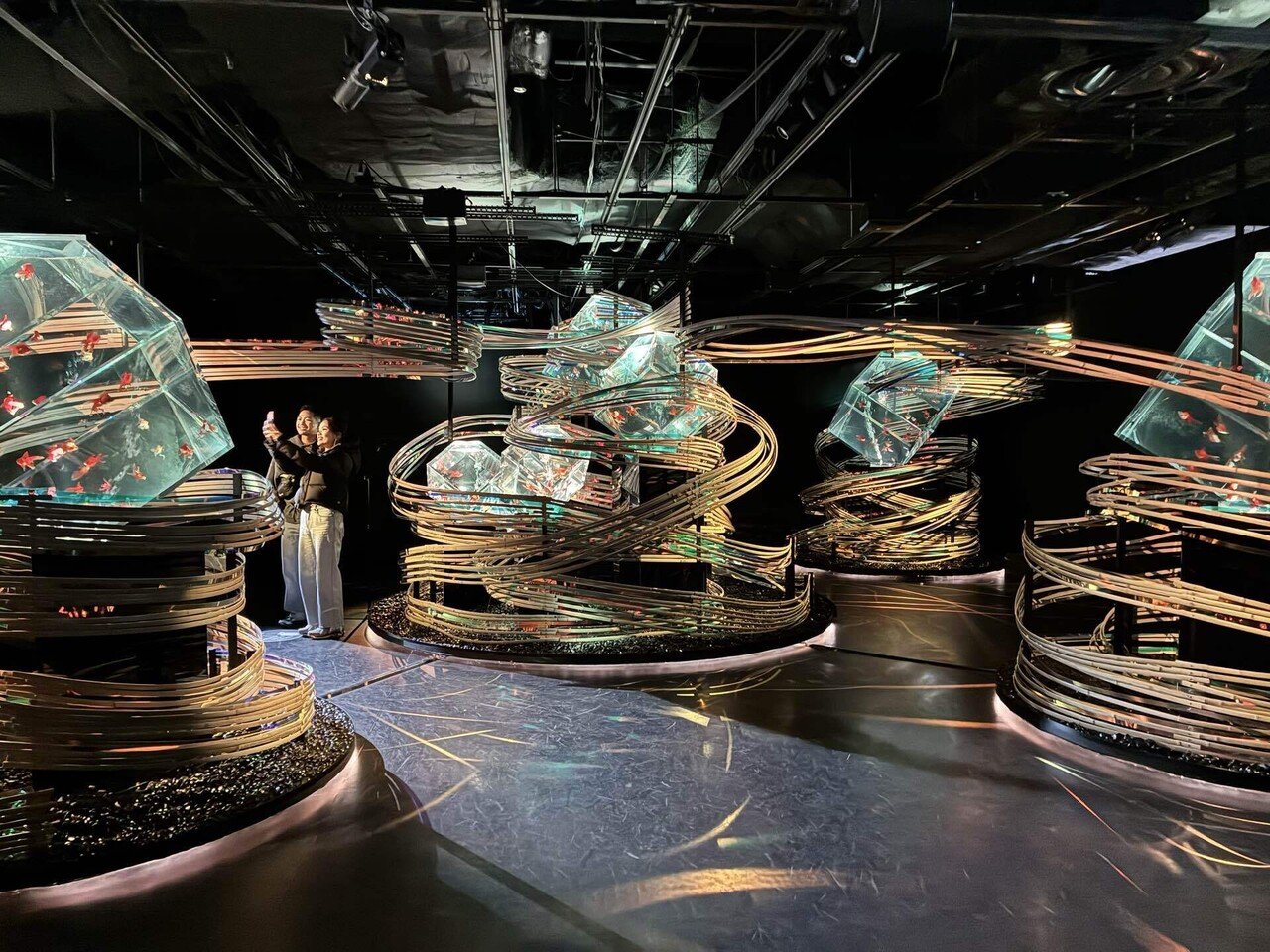 旅行】アートアクアリウム 美術館 GINZA 銀座三越 感想と写真｜風上かなた