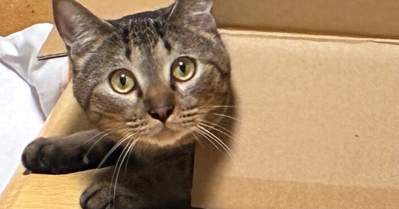 私が描いた絵 これが私の代表作 ゲーム絵、展覧会作品、たくさんいいねがもらえた