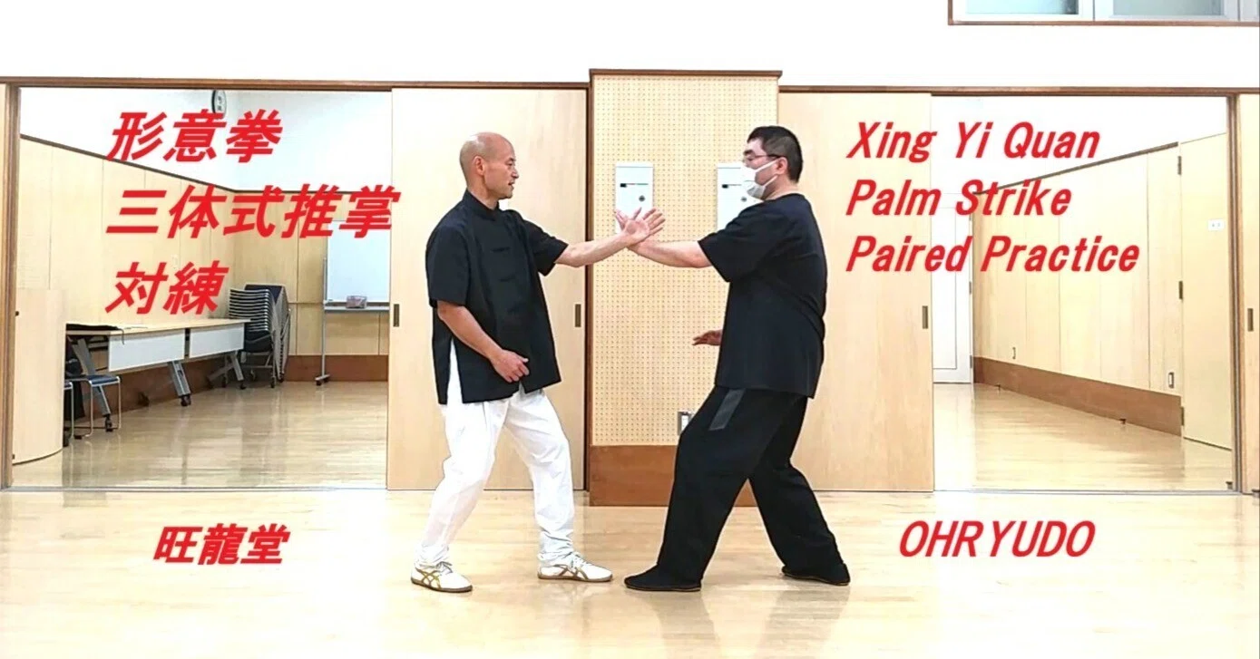 武術動画】形意拳《三体式推掌対練》Vol.1【練法】｜おばた りょうすけ