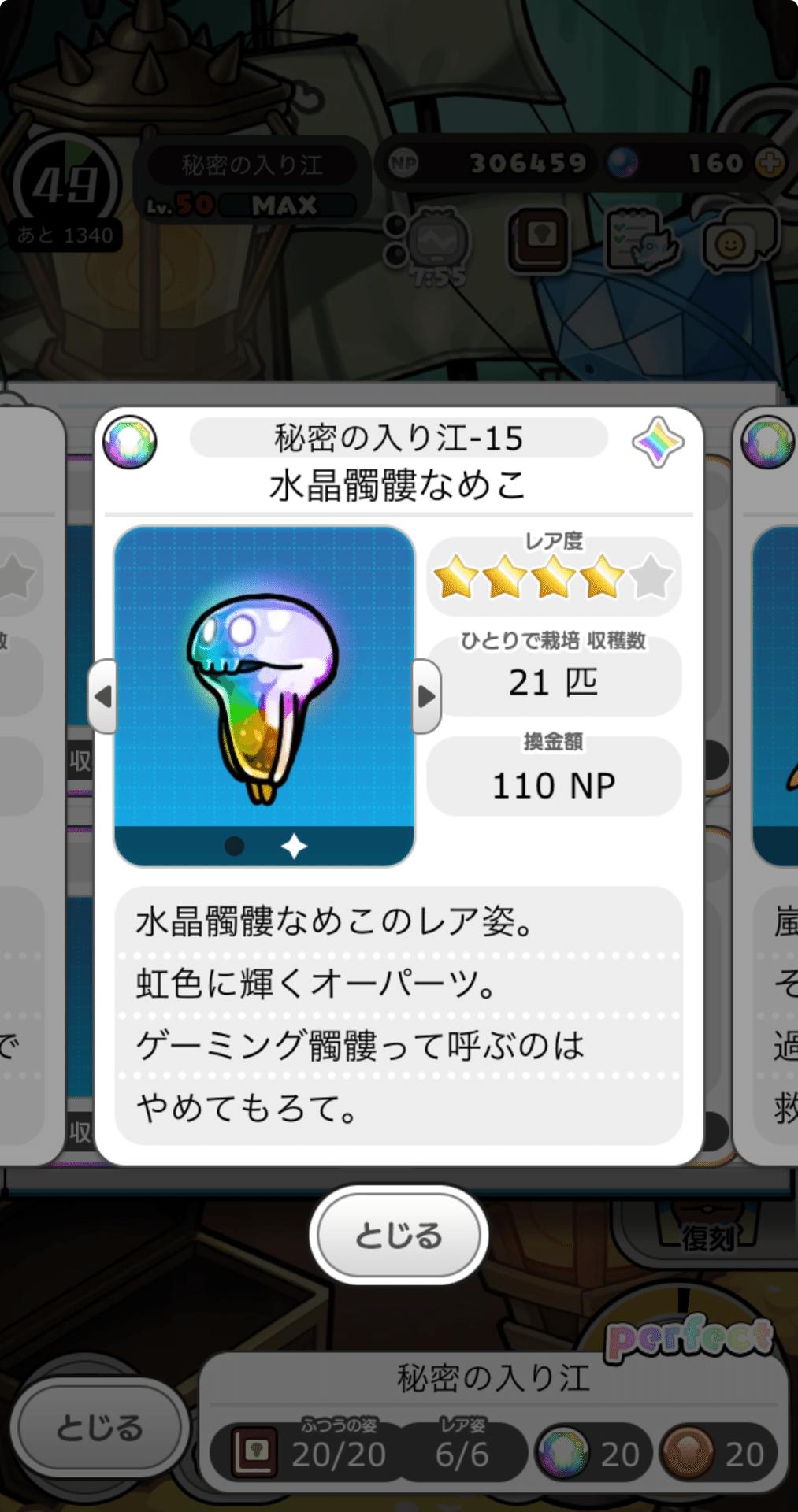 みんなのなめこ栽培キット 秘密の入り江コンプリート！｜もも