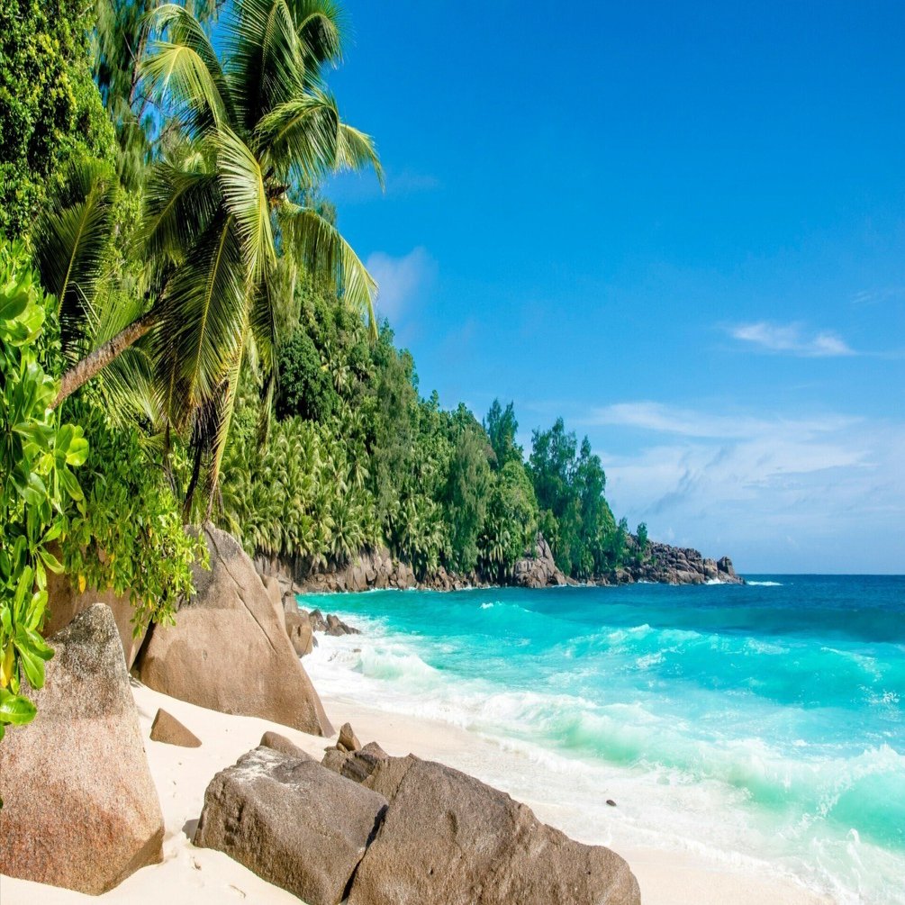 2025年版】Seychelles（セーシェル）法人設立のメリットとは？｜Bishamon UK