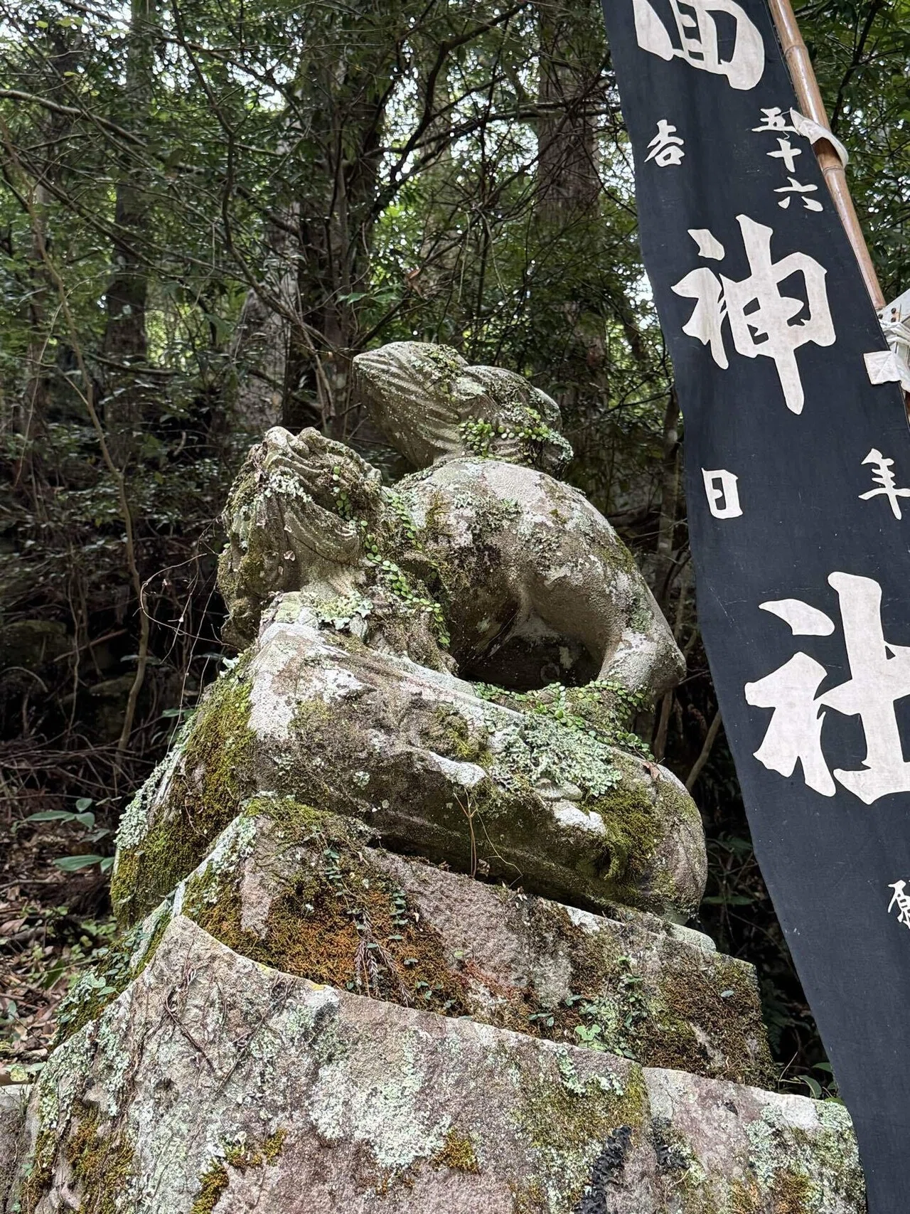 四国の旅 大切にされているパワースポット 徳島県 八面神社｜ネコ隊長