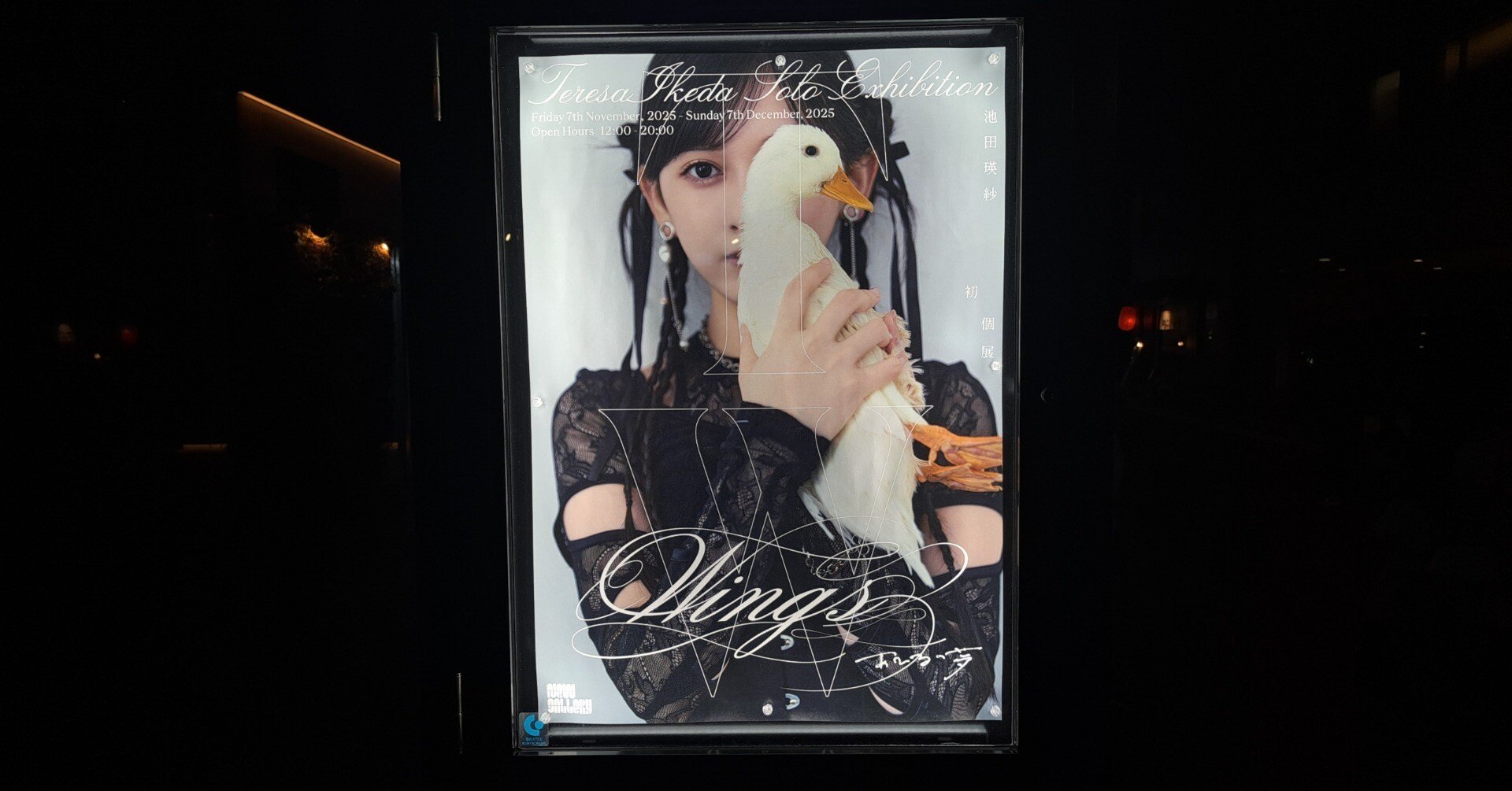 催】Wings:あひるの夢｜ジロ頭巾