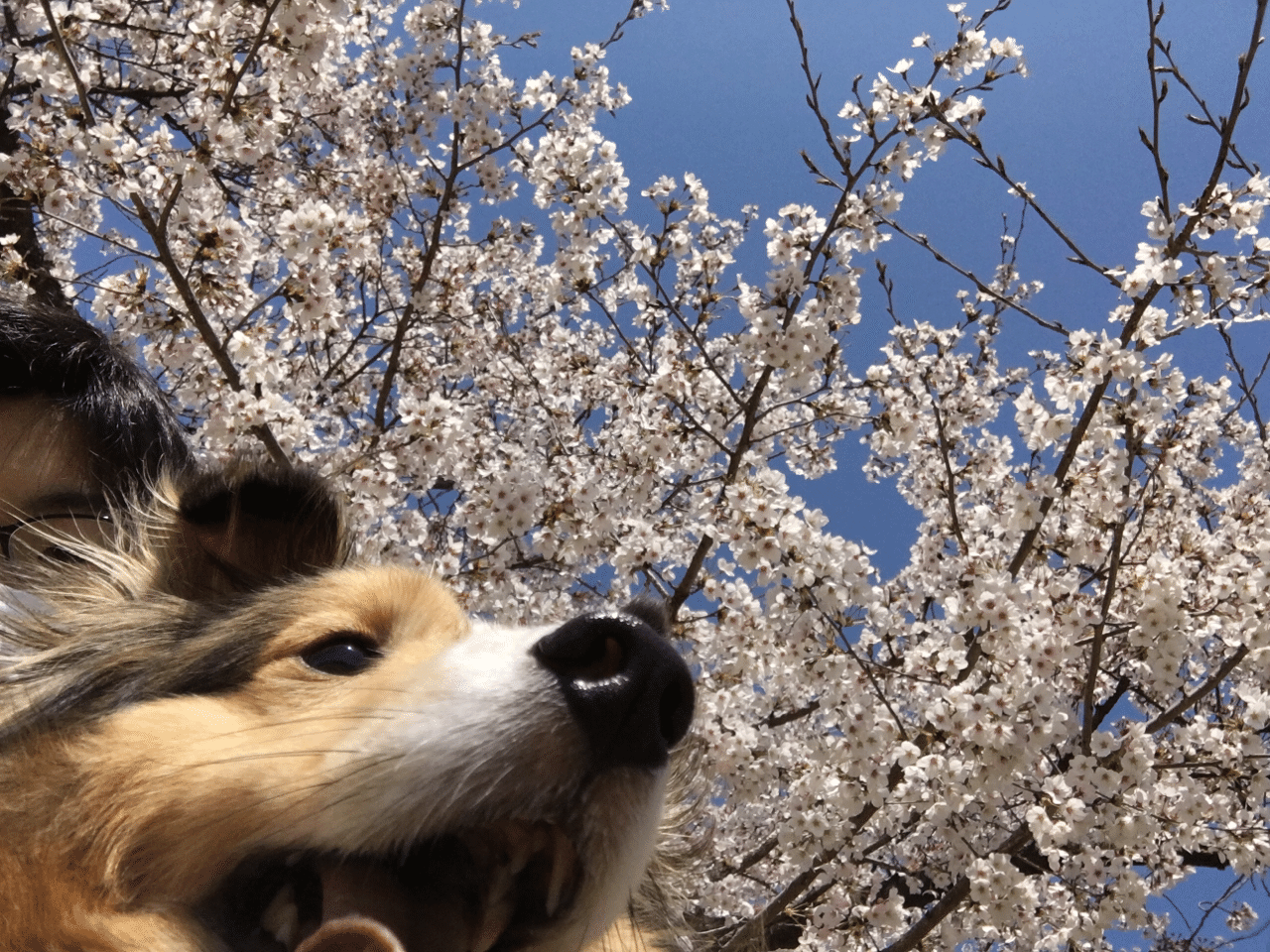 最高の1枚 周東 Note