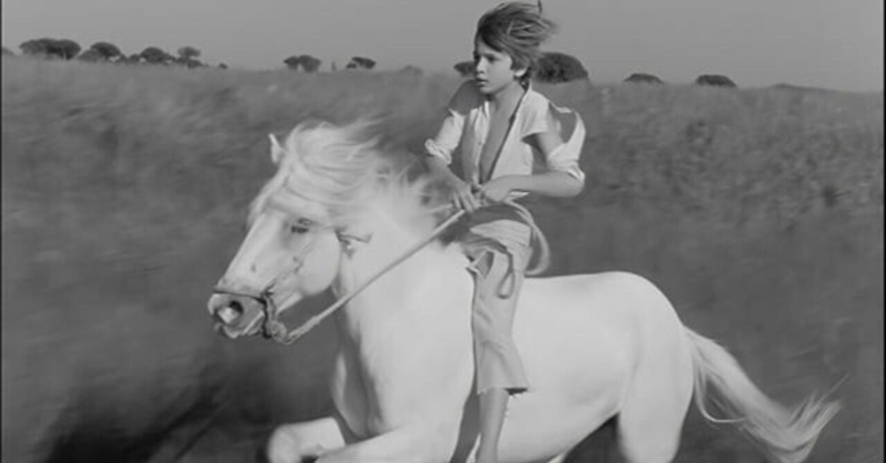 赤い風船』『白い馬』映画感想文・共通するテーマを感じました｜ほり