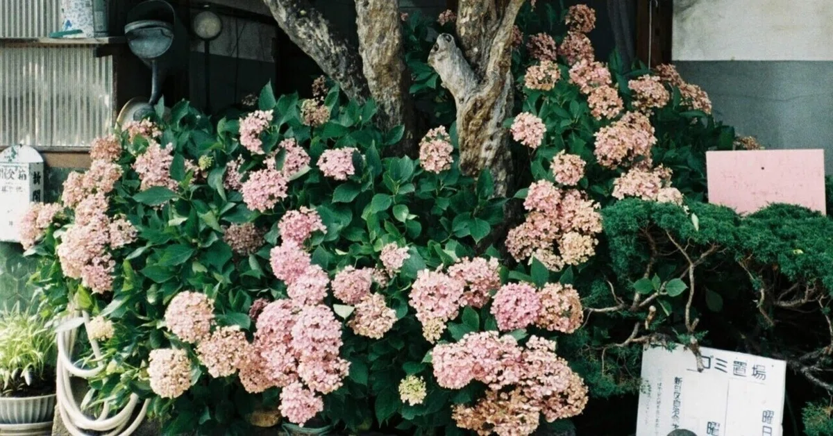 On a somewhat aimless day, I felt glad to be alive.｜よい