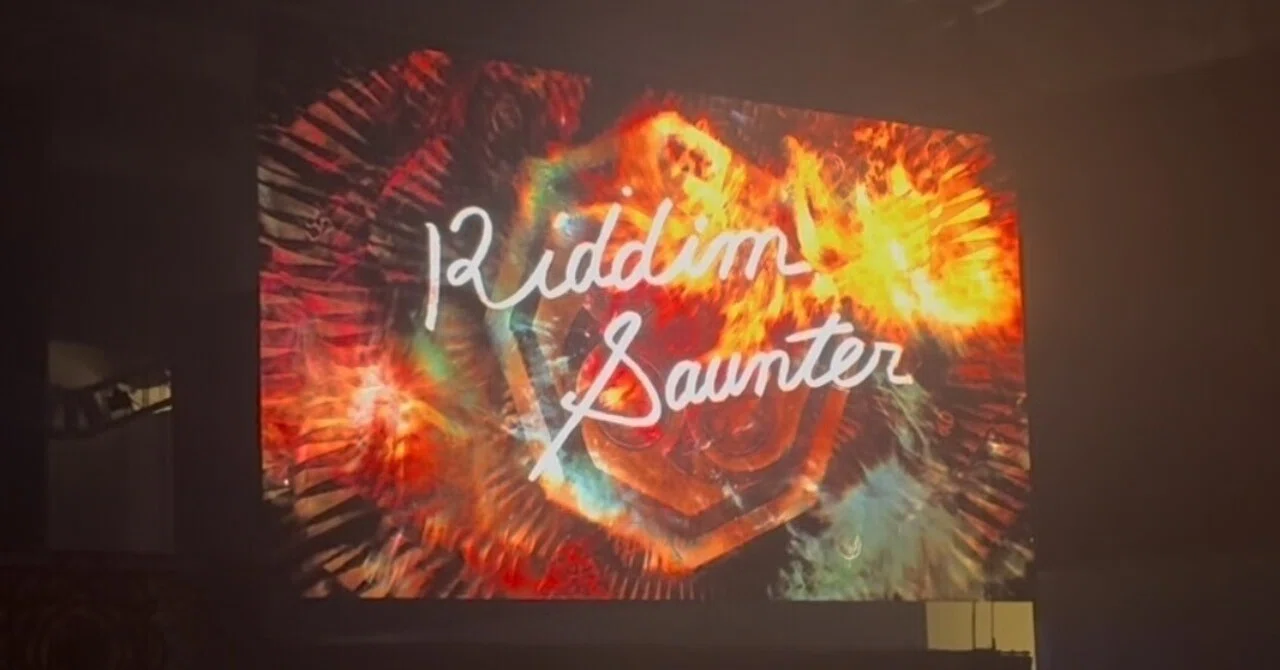Riddim Saunterを見るために尽未来祭に行った話｜ゆうさん