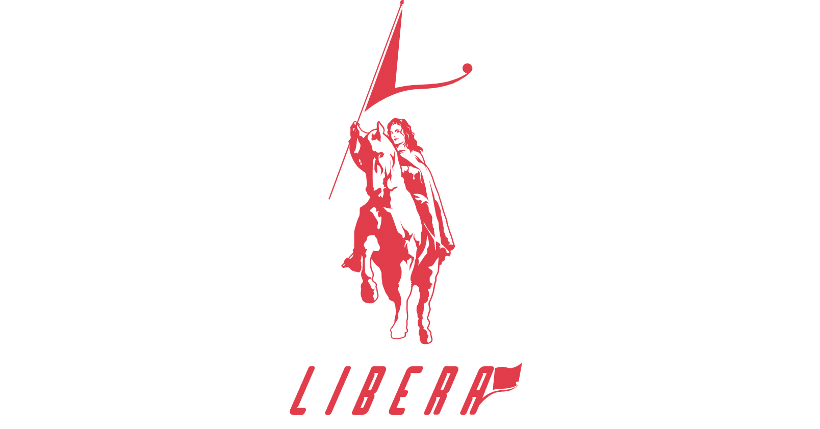 米国株分析】パチンコ大手Libera Gaming Operations、米国ナスダック上場へ：過去業績と公募条件を徹底分析｜やまとたける |  経済・投資系まとめ記事