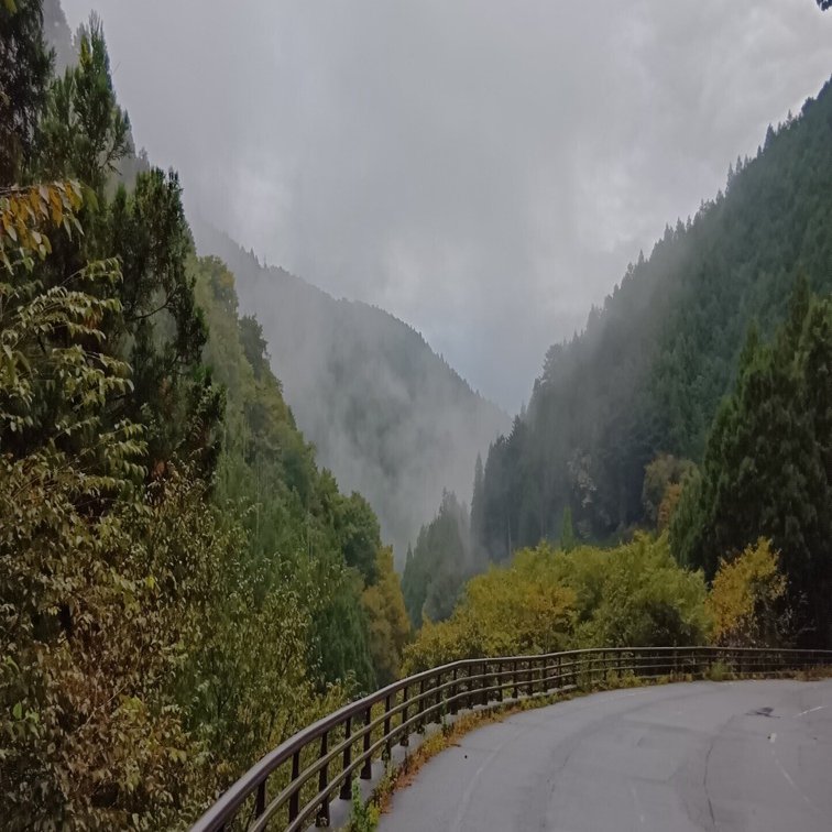 雨る延れる寒れら濡りさべ繰【自動記述20251024】｜阿久沢牟礼