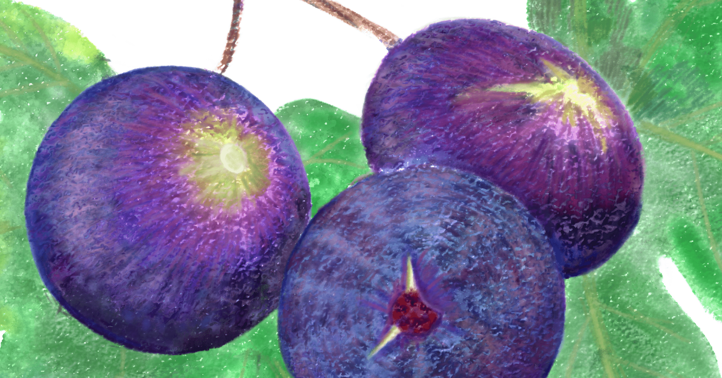 果物アート① イチジク｜HIRO