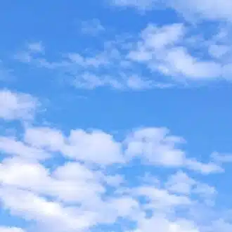 なつ