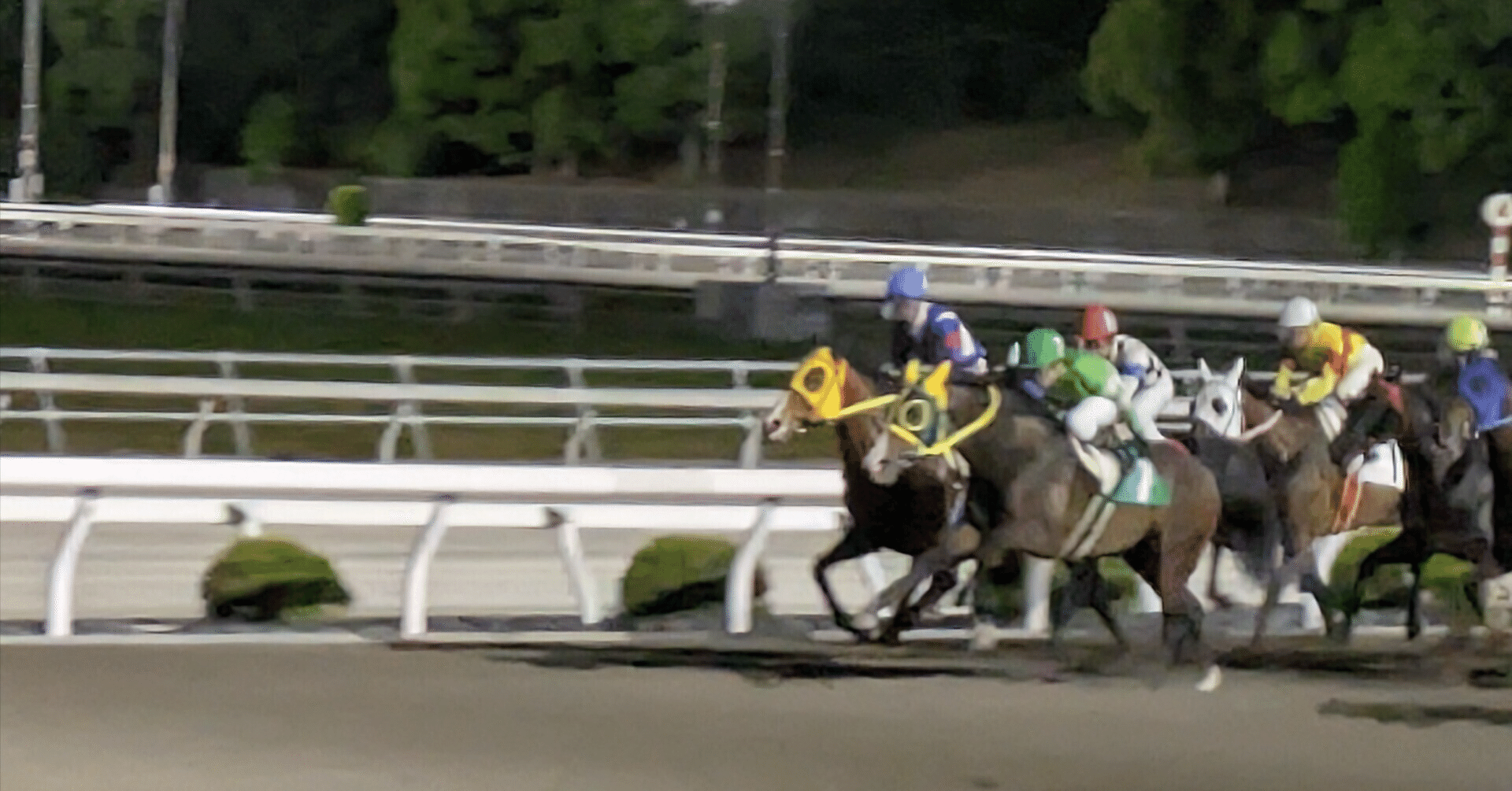 今週の月曜日、高知競馬の解説者の推奨馬通りに馬券を買い続けた件