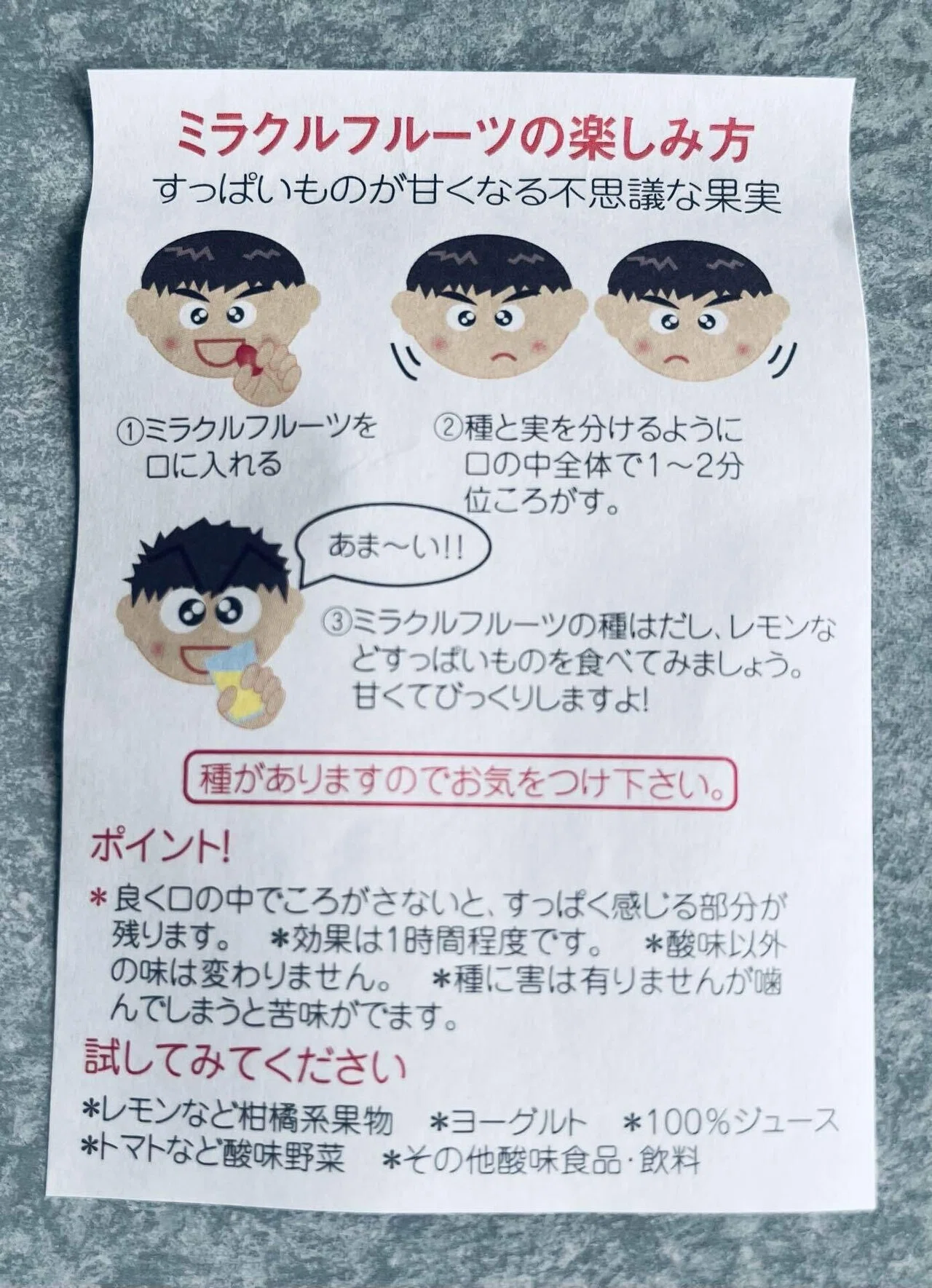 体験談】酸いを甘いに変えるミラクルフルーツを食べてみよう。｜にーさん