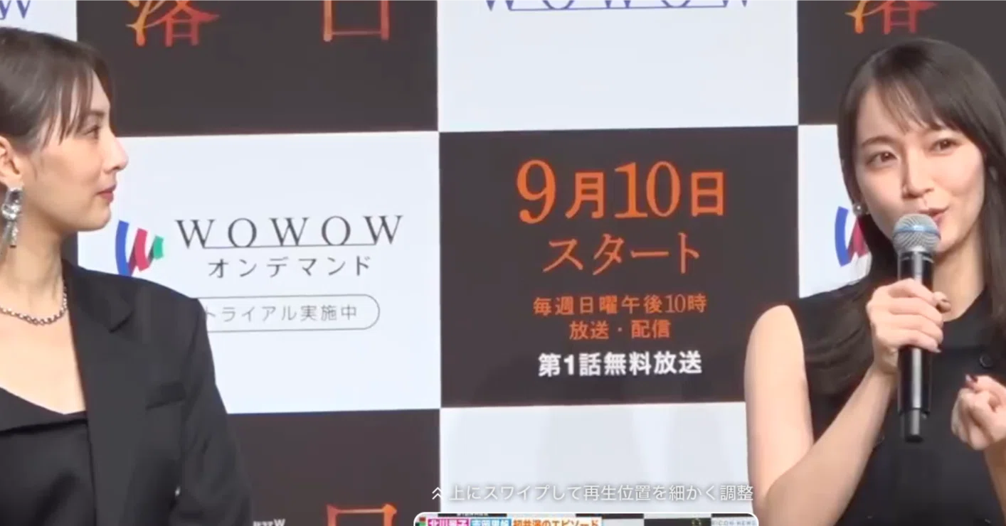 活動歴および当時の関連ビジュアル記録