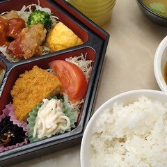 春日井建「海の死」私記――悪の諸相あるいは海に降る雪――（初出『率』7