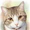 ゆっさん父さん