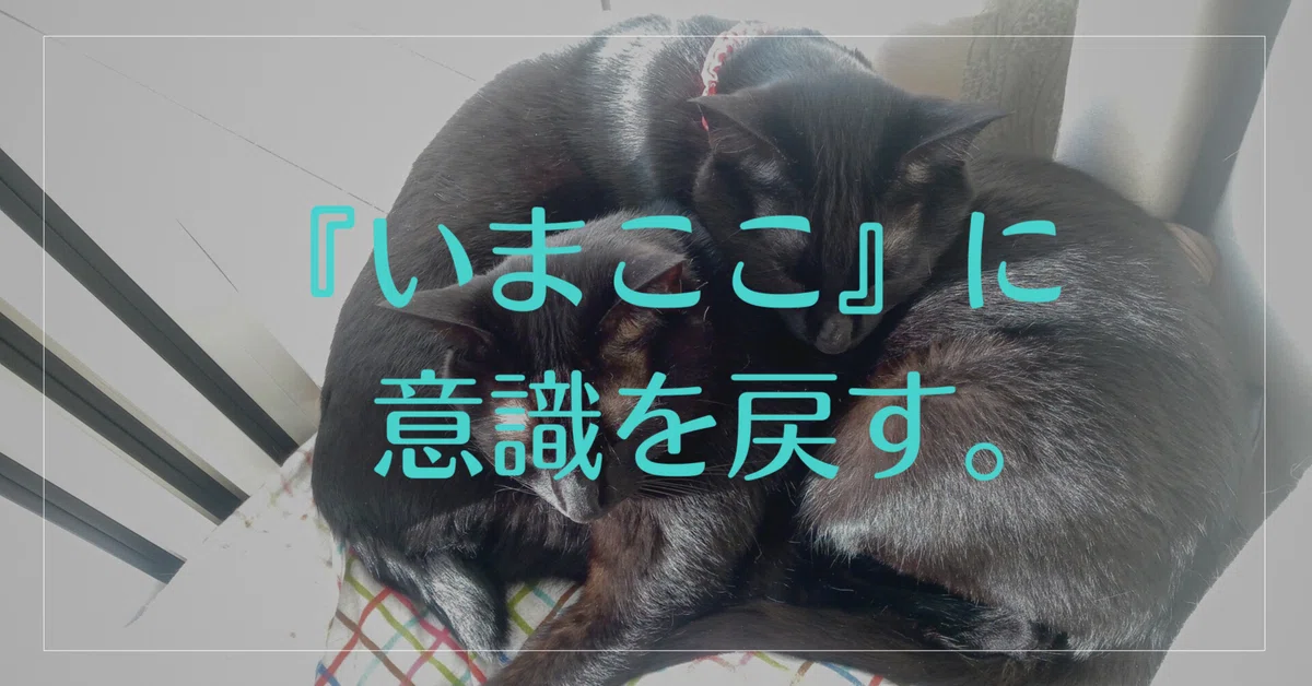 ่ฆๅบใ็ปๅ