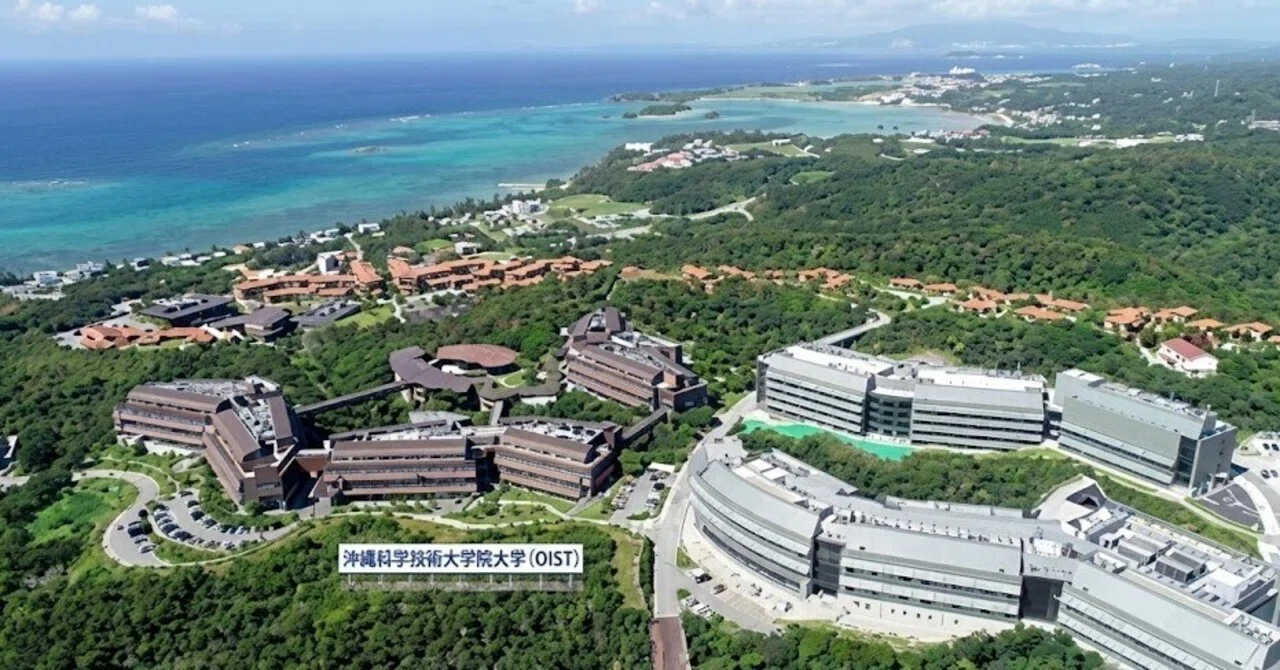 沖縄科学技術大学院大学偏差値