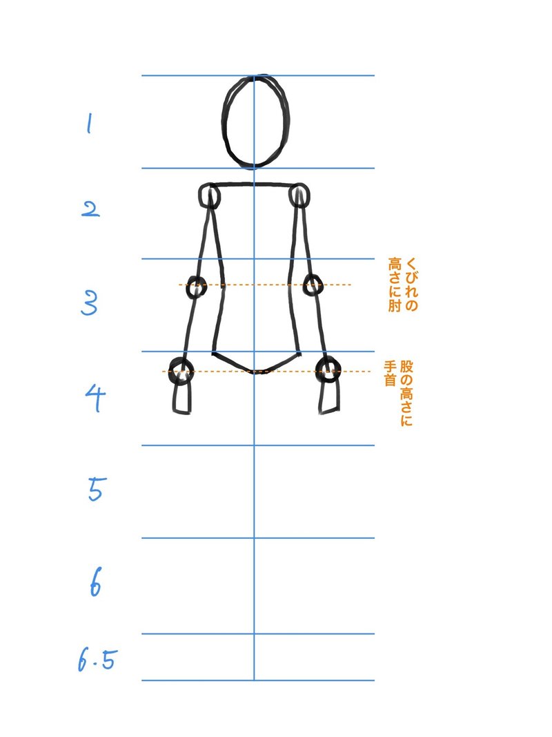 人体の作画 人体のバランス Jo Note