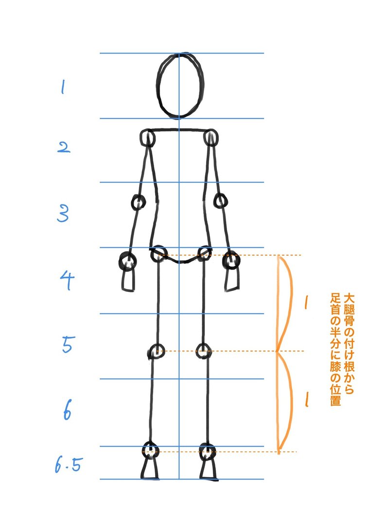 人体の作画 人体のバランス Jo Note