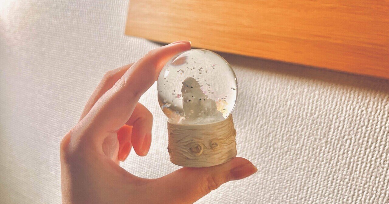 スノードーム開封｜2025/11/27｜都築あかり