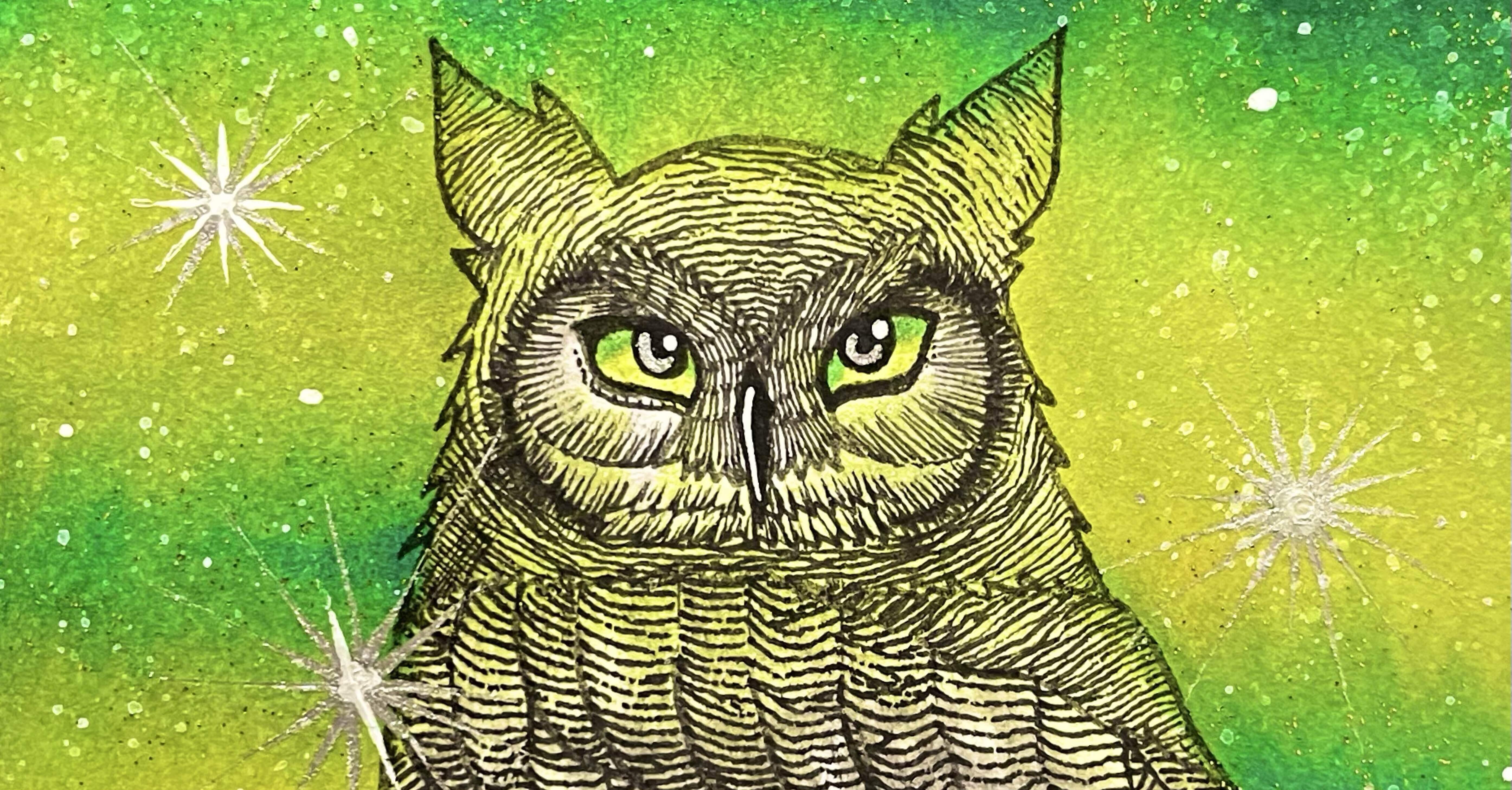 ✨今日の一枚✨｜フクロウシホ