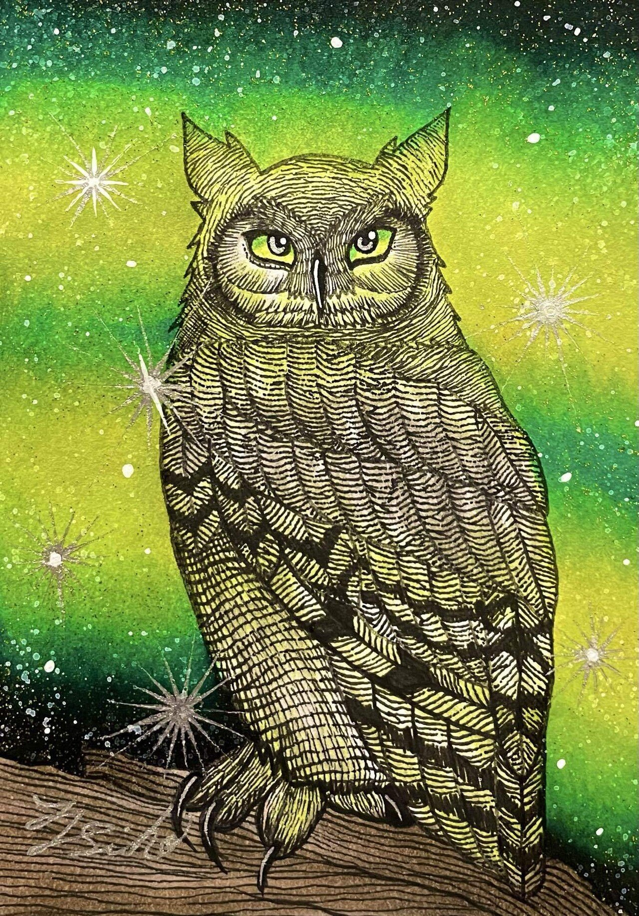 ✨今日の一枚✨｜フクロウシホ