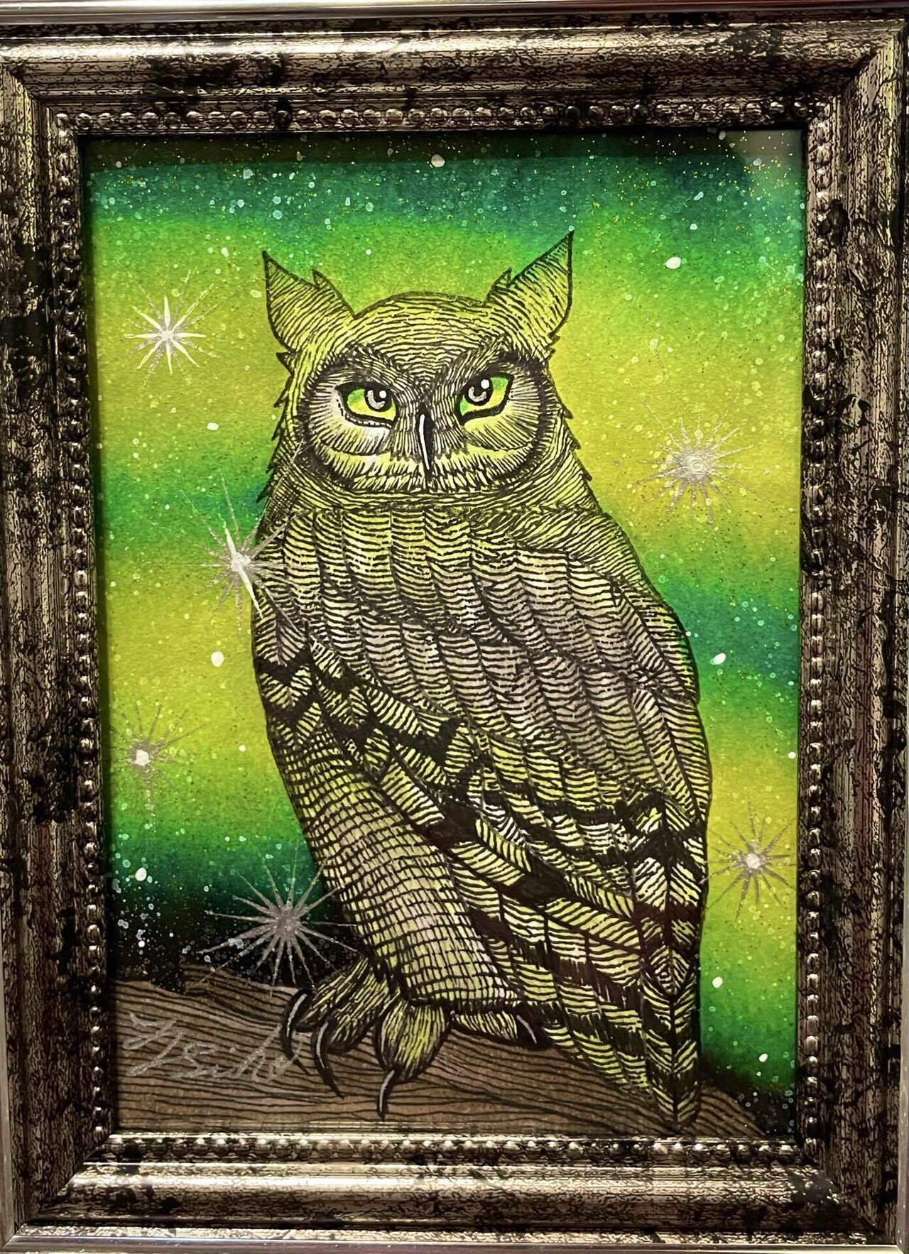 ✨今日の一枚✨｜フクロウシホ