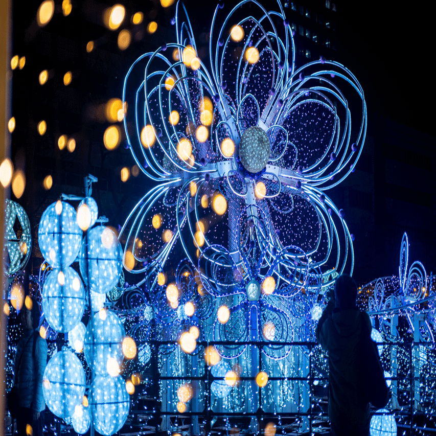 イルミ ぽてコロ 21点 専用ページ さっぽろホワイトイルミネーション｜写真日記｜さかずき