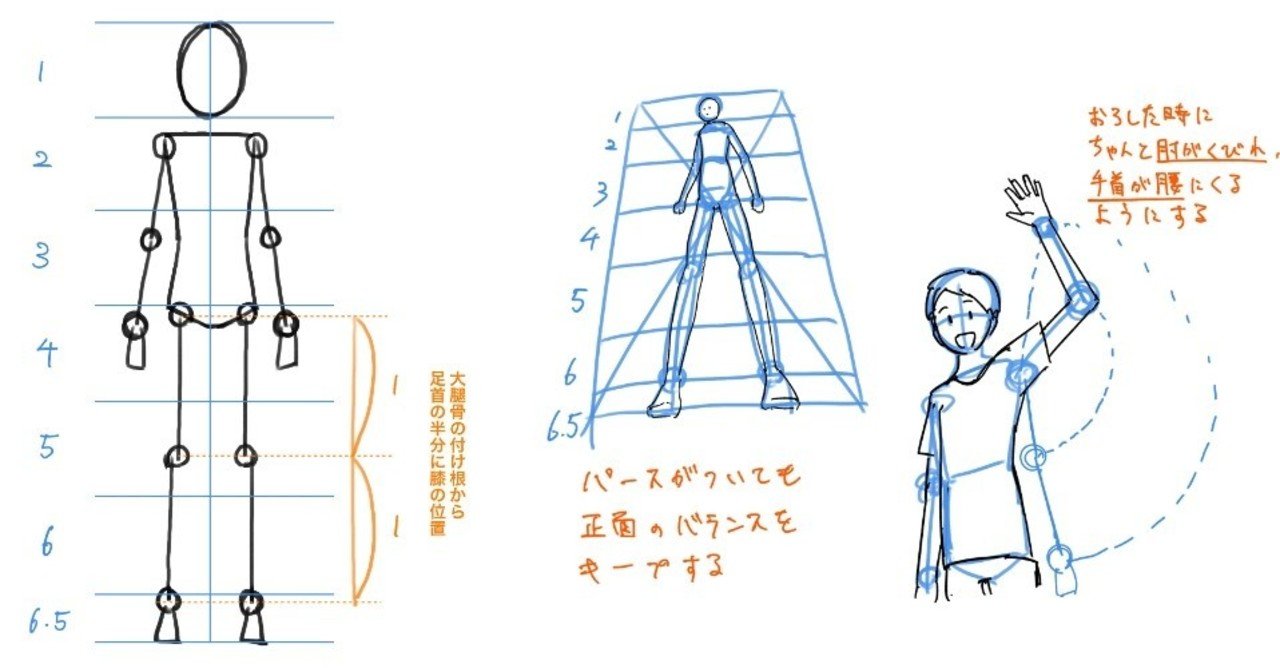 人体の作画 人体のバランス Jo Note
