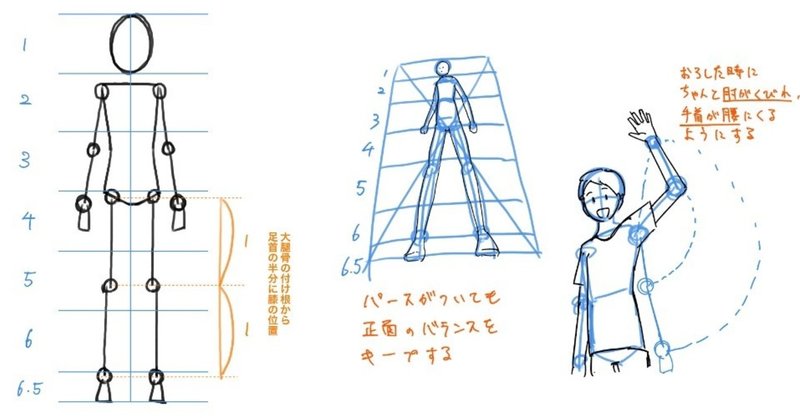 人体の作画 人体のバランス Jo Note