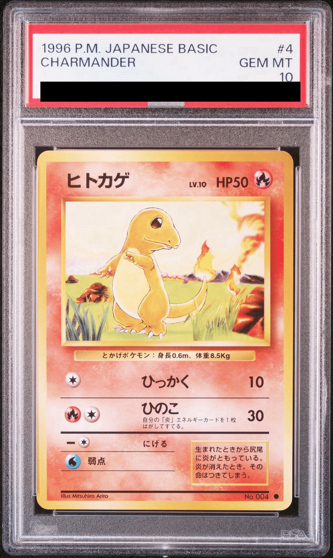 旧裏の“傷の読み方”｜TOSHI@旧ポケカ