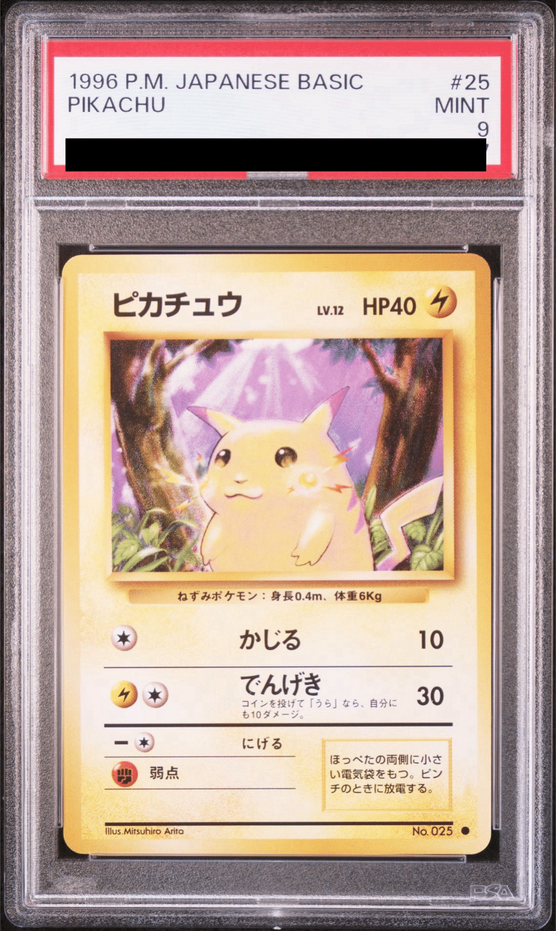 旧裏の“傷の読み方”｜TOSHI@旧ポケカ