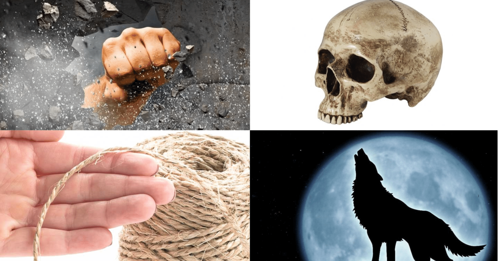 日本人には同じに聞こえるロシア語の4つの動詞｜Academic Russian Language