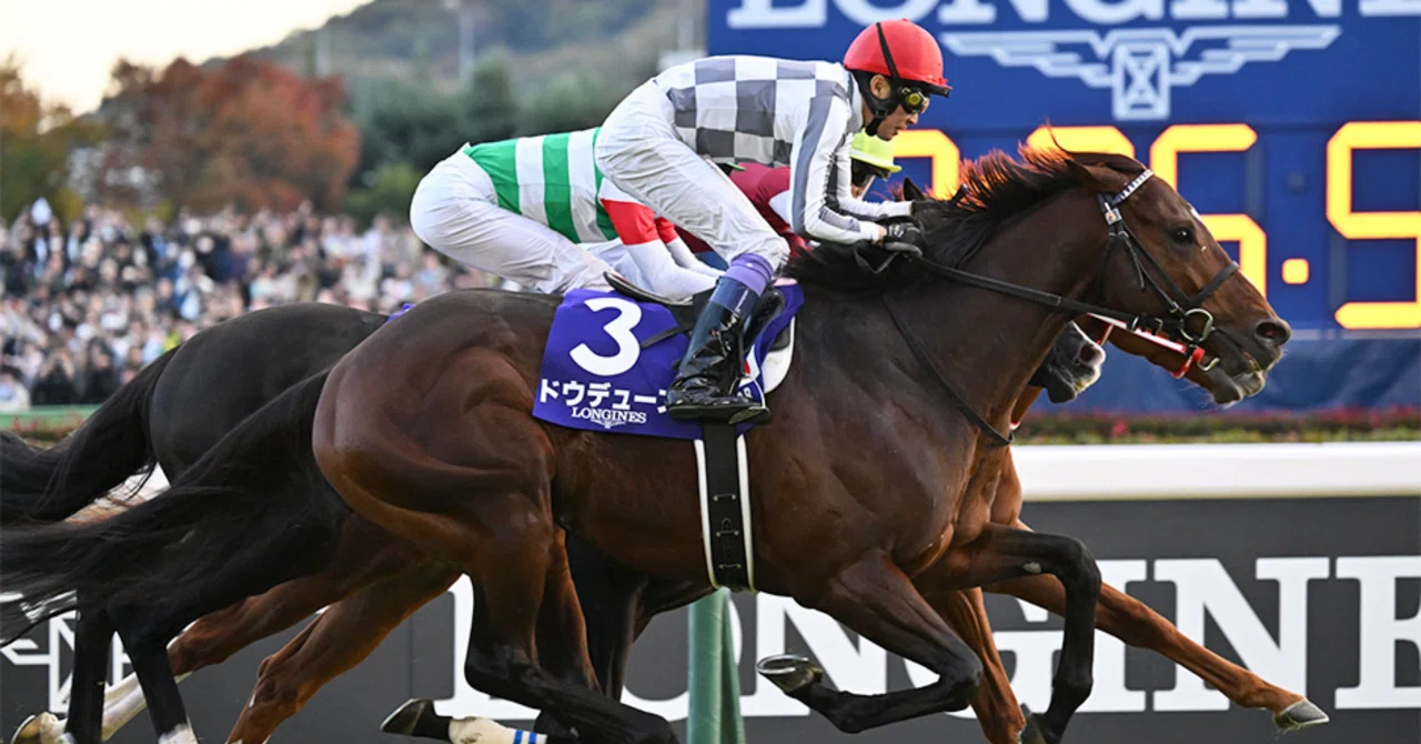 🌎 G1 ジャパンカップ2025 全頭診断 🌎｜玲音覇愛兎 史上初の三冠馬同士の対決となった第4回ジャパンカップの単勝馬券