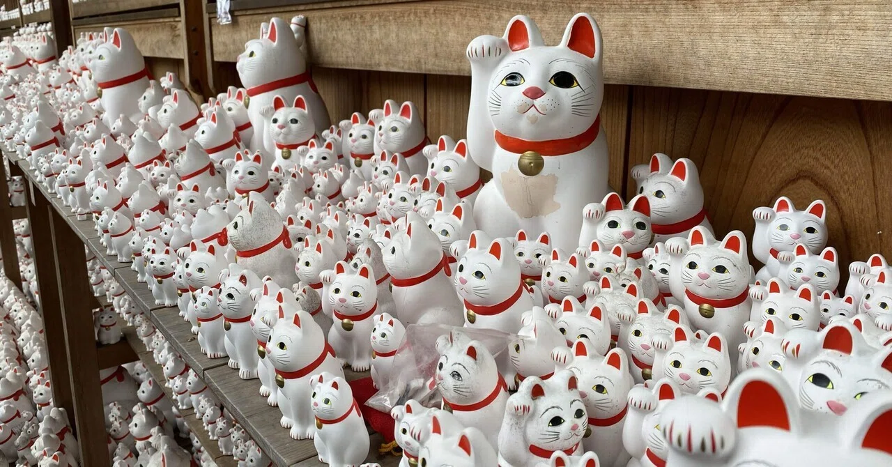 招き猫の寺と冬の季語 寒紅(かんべに)|島田由加(しまだゆか) 招き猫の寺と冬の季語 寒紅(かんべに)|島田由加(しまだゆか)