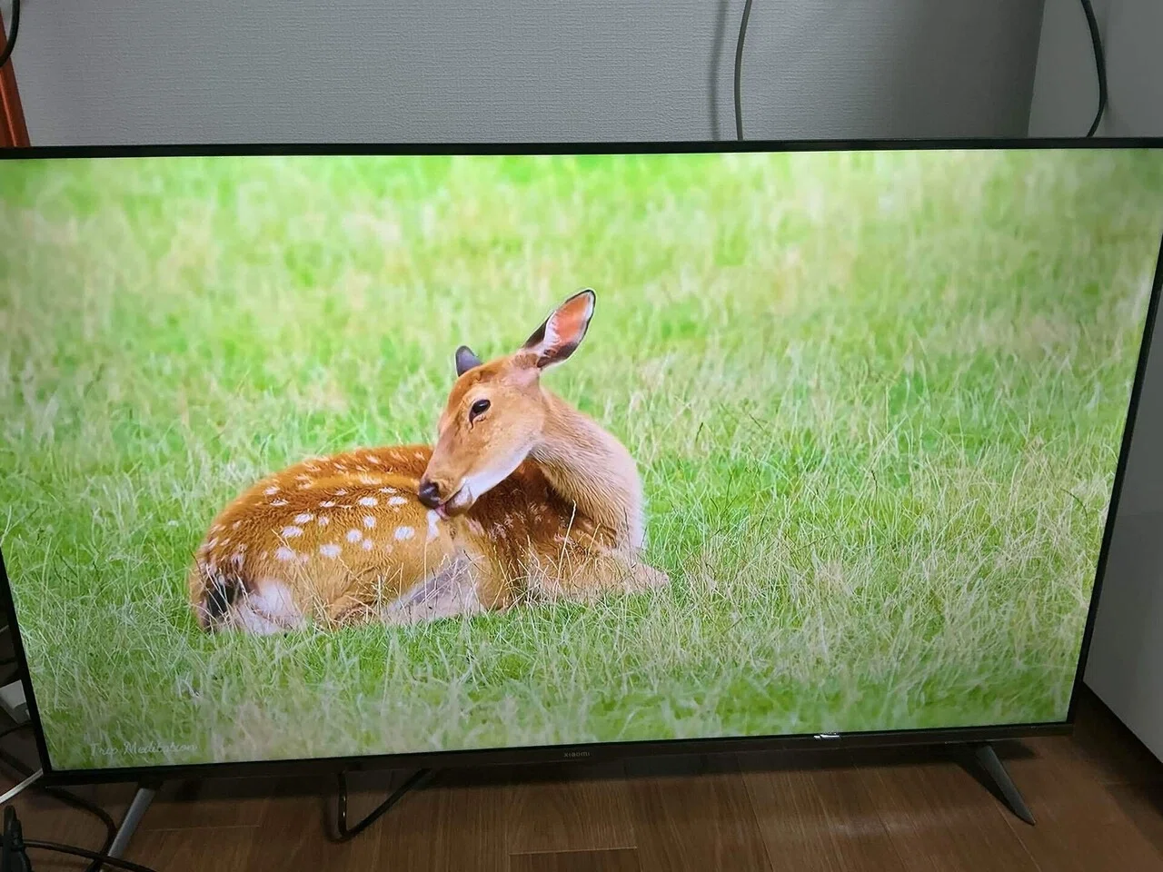 Xiaomi 43インチ チューナーレステレビ購入！｜りょーた（ガジェオタ）